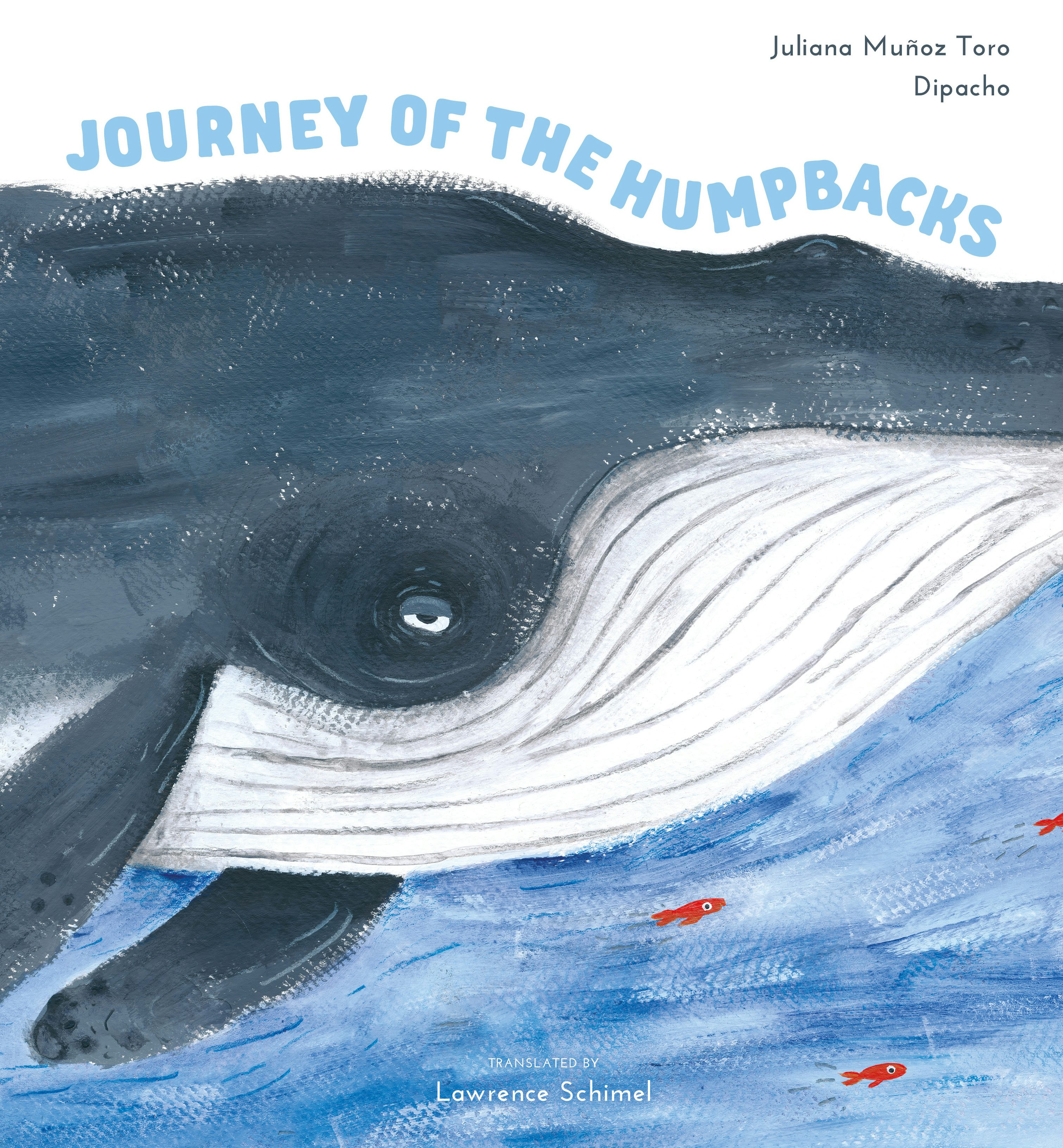 HumpBack 帰り道 Journey of the Humpbacks